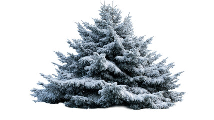 Lush snowcovered pine tree with a dense canopy, perfect for winter holiday promotions and nature exploration visuals.