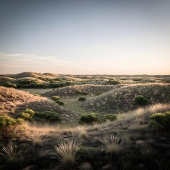 Elegant Minimalist Landscape Composition with Sophisticated Scrub Ambience, Illuminated by Soft Ambient Lighting and Natural, Fluid Curves in Modern Design