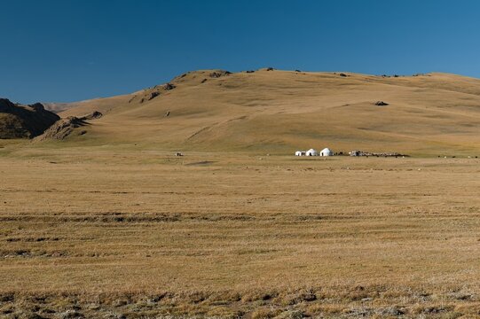Yurt traditional dwelling of herders in Moldo Too, mountain range in the Inner Tian Shan. Naryn region. Kyrgyzstan. Asia.