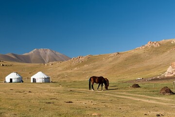 Yurt traditional dwelling of herders in Moldo Too, mountain range in the Inner Tian Shan. Naryn...