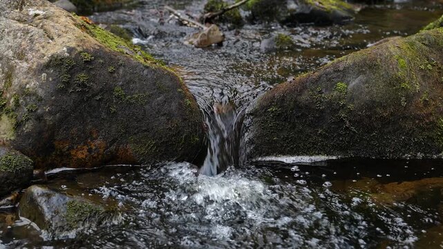 A small forest waterfall cascades down moss-covered rocks. A forest stream flowing between stone boulders. Mesmerizing nature.