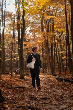 Person walks through a colorful autumn forest