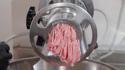 Minced meat slowly comes out of electrical mechanism and falls into special plate. Meat grinder processes ingredients and creates final pieces for further convenience food production