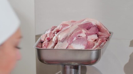 Female cook puts ingredients into electrical meat grinder to prepare convenience food. Specialist positions pieces of fresh meat on special container before mechanism starts operating