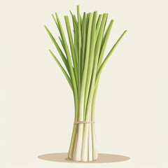 Obraz premium Fresh Lemongrass Stalks Tied Together.
