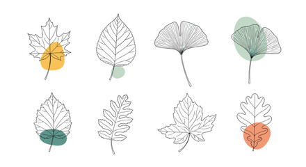 Fototapeta premium Collection of various tree leaves drawn in a minimalist dotted line art style with abstract pastel color spots.