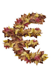 Cozy Autumn Leaf Euro Symbol Typography for Seasonal Finance Posters, Fall Tourism Promotions, Thanksgiving Market Ads, Eco-Friendly Branding and Nature-Inspired European Currency Graphics

