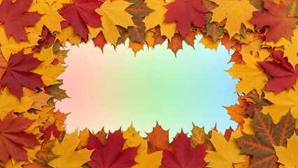 Obraz premium A frame of vibrant autumn maple leaves surrounding a soft gradient background.