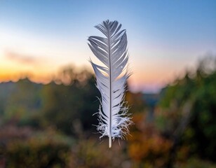 Soft white feather floats against a blurred sunset scene