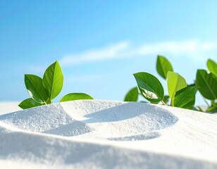 Green leaves emerge from white sand against a bright sky