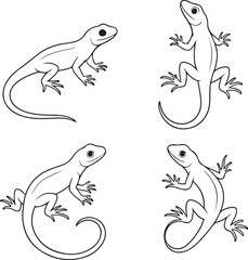 Set of lizard line art
