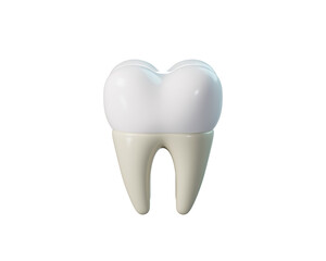 3D Dental Crown, Human Molar Tooth Anatomy. Dental Implant for Dental, Dentistry, Orthodontics. 3d rendering
