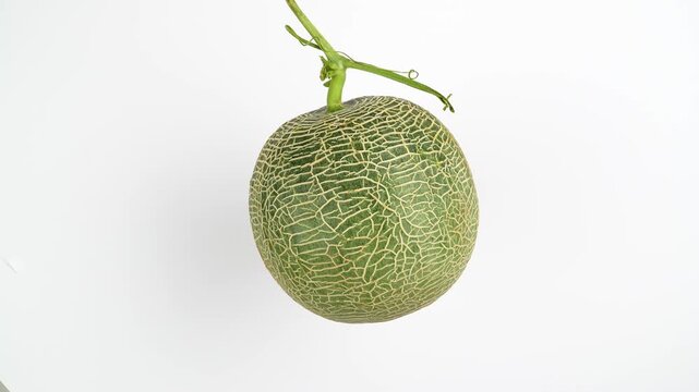 Rotating green netted melon isolated on white. Fresh cantaloupe fruit spinning. Healthy food concept.