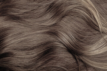 Brown hair close-up as a background. Women's long brown hair. Beautifully styled wavy shiny curls....
