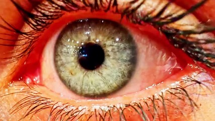 Close-up of a human eye, expressing curiosity in Jelgava, Latvia