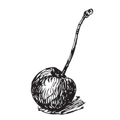 Detailed Hand-Drawn Cherry Vector Illustration in Vintage Engraving and Hatching Style, Black and White Ink Sketch with Stem.