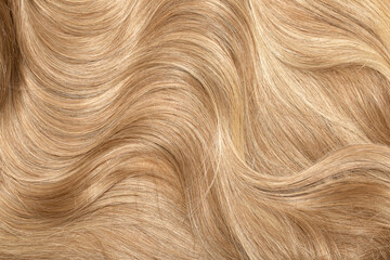Naklejka premium Blond hair close-up as a background. Women's long blonde hair. Beautifully styled wavy shiny curls. Hair coloring. Hairdressing procedures, extension.
