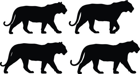 Four black silhouette tigers walking in profile on white background animal