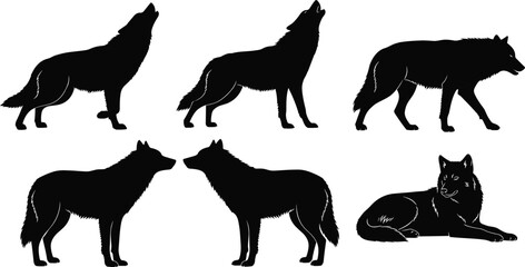 Six black wolf silhouettes in various poses on white background animal wild
