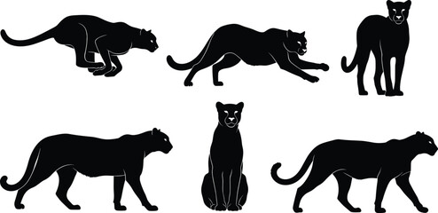 Six Black Panther Silhouettes in Various Poses on White Background big cat wild animal