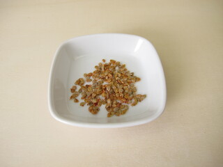Tomato seeds extracted from garden tomatoes