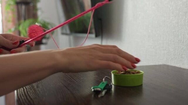 Preparing Play Area For Playful Cat Moments, Arranging Toys And Accessories For Active Feline Session, Organizing Hunting Supplies Like Ropes And Clips Around Pink Cat Toy In Living Room