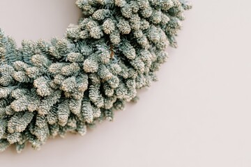 Stunning winter wreath made from blue spruce branches and small cones on a light background.