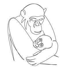 One continuous single drawing line art flat doodle primate, animal, chimpanzee, monkey, mammal, ape, baby. Isolated image hand draw contour on a white background
