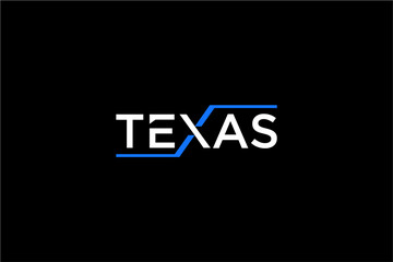 Modern Texas Text Logo Design with Blue Accents.