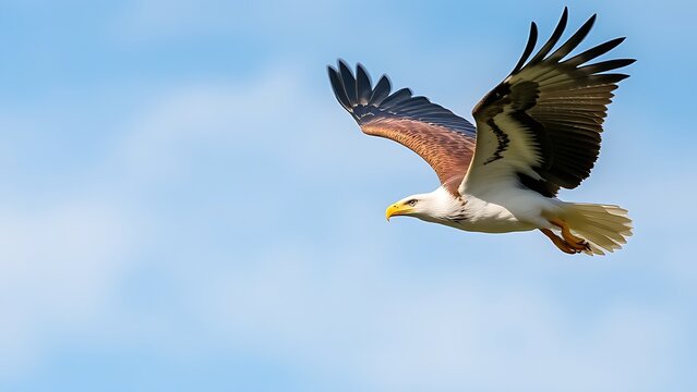 unclosed. Eagle in flight against a sky background with its wings spread wide. wildlife magazines, conservation campaigns, designed for eco-tourism storytelling, used by financial analysts.