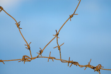 barbed wire close-up against a blue sky