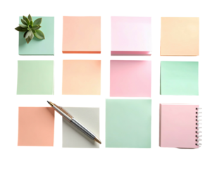 Pastel notes, pen, succulent on black. Flat lay design