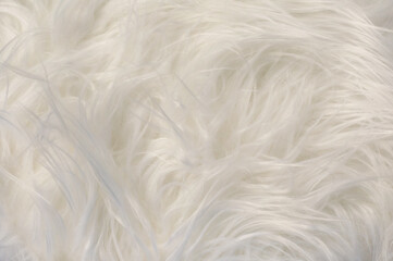 Soft, fluffy white fur texture, perfect for backgrounds and design elements