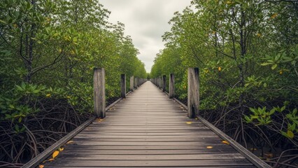 Obraz premium Straight boardwalk path through lush mangrove forest under an overcast sky