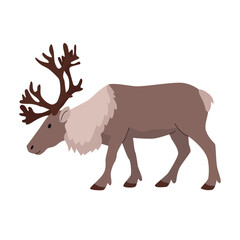  illustration of a reindeer caribou with large dark antlers and a light neck ruff. Side profile in soft brown tones, suitable for winter, holiday, or wildlife themed designs. Vector illustration