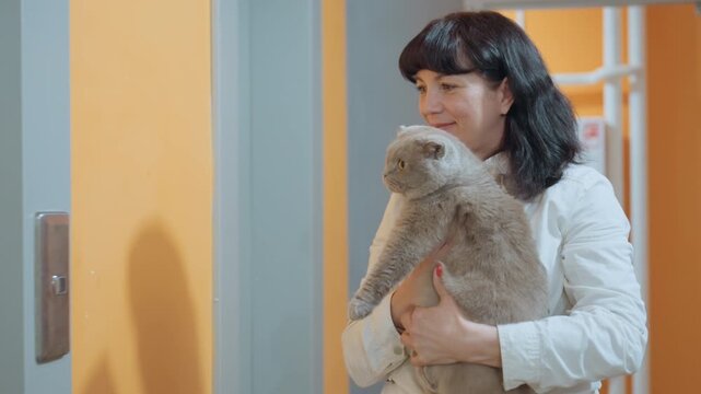 Woman Hugs Cat, Bright Entrance With Cat In Arms, Female Owner Cuddles Cat Near Elevator In Comfortable Home, Woman Comfortably Holds Her Gray British Shorthair In Welcoming Apartment Corridor