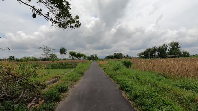 POV Riding Scooter in Rural Wide Field&ndash; Java, Indonesia, South East Asia - November 16th 2025