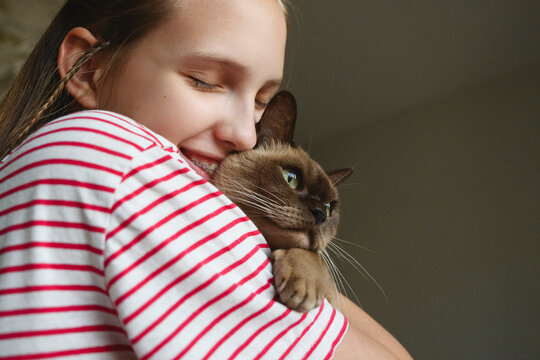 Person in striped shirt hugging burmese cat with affection at home