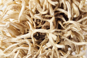 Dried Plant Roots Abstract Texture for Natural Design and Background Concepts