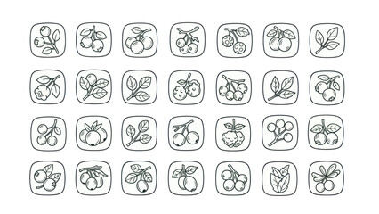 Berry icon set vector illustrations of various fruit and foliage