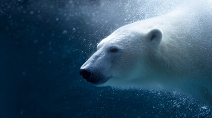 A captivating image of a polar bear swimming gracefully underwater. The icy blue tones create a serene atmosphere. Perfect for wildlife themes or nature conservation projects. AI
