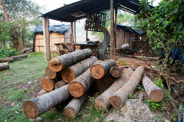Stacked timber logs with sawmill wood cutting machine in rural woodworking industry