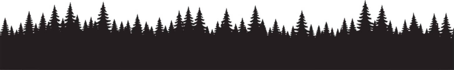 Fototapeta premium Silhouette of a dense forest of pine trees evergreen