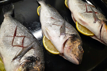 Fresh Dorado Fish with Lemon Slices on Black Tray for Culinary Preparations