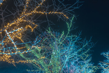 遊園地のイルミネーション