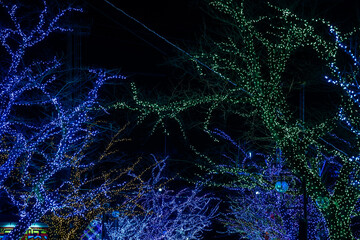 遊園地のイルミネーション