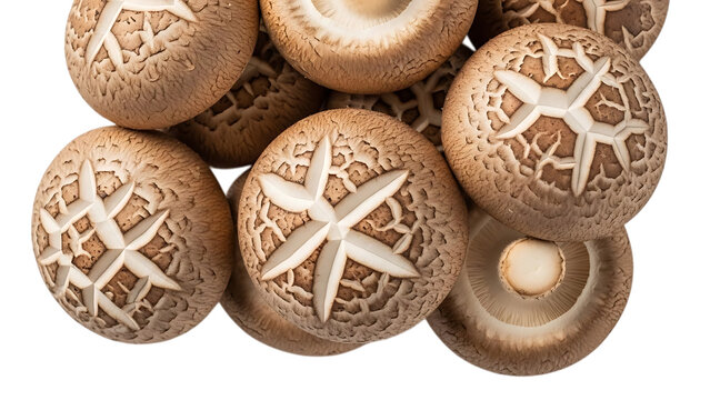 Shiitake mushrooms with star-like patterns isolated on transparent background