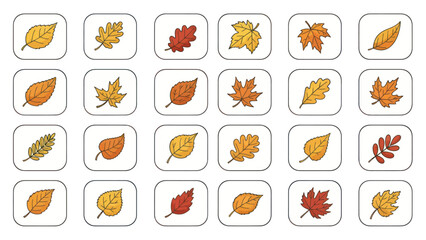 Autumn leaf collection vector illustrations of various leaf types