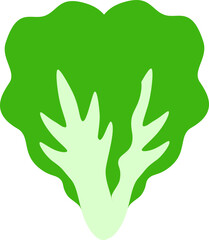 Chinese Cabbage, Vegetable Flat Style Illustration