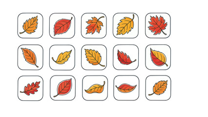 Autumn leaves collection colorful vector illustrations on white background